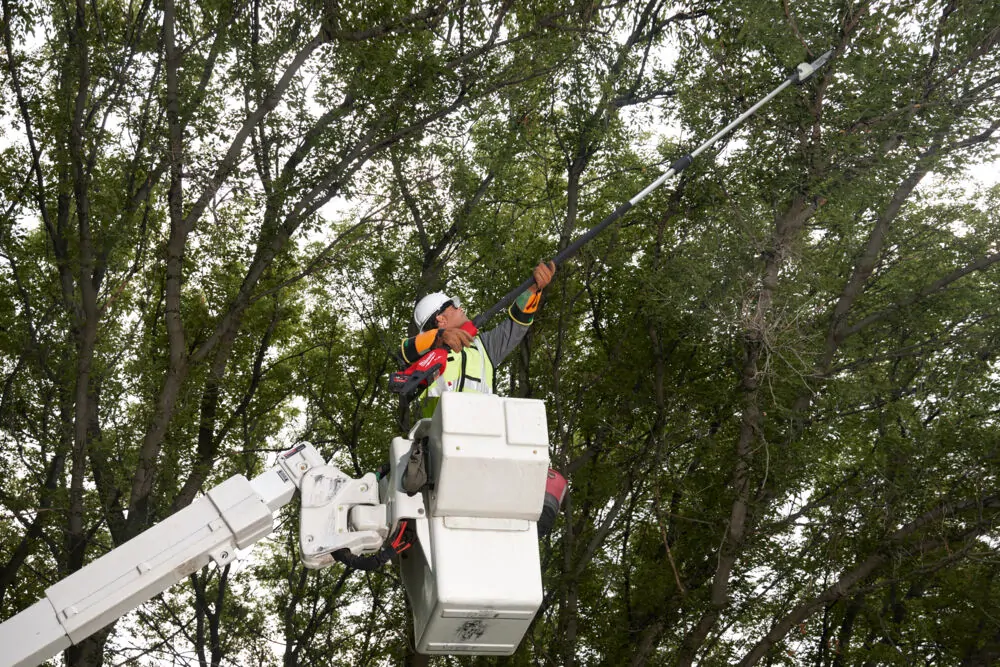 Milwaukee M18 FUEL™ aku pila teleskopická vyvětvovací 30 cm M18 FTPS30-0