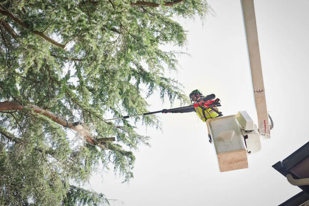 Milwaukee M18 FUEL™ aku pila teleskopická vyvětvovací 30 cm M18 FTPS30-0