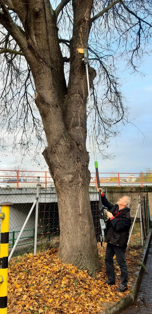 EGO teleskopická pohonná jednotka PPX1000