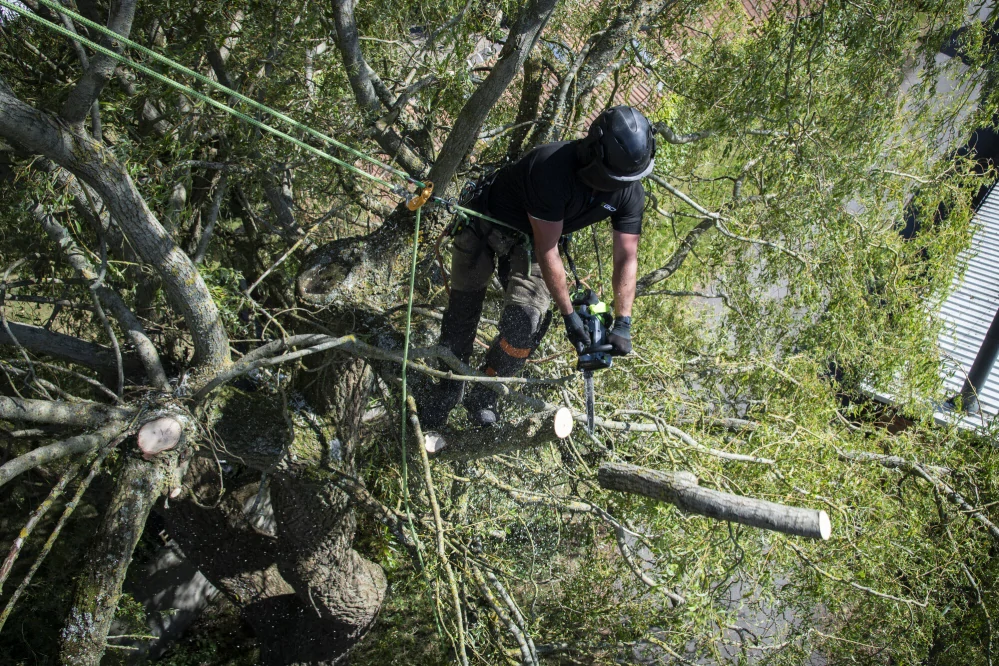 EGO aku jednoruční řetězová pila CS1200E